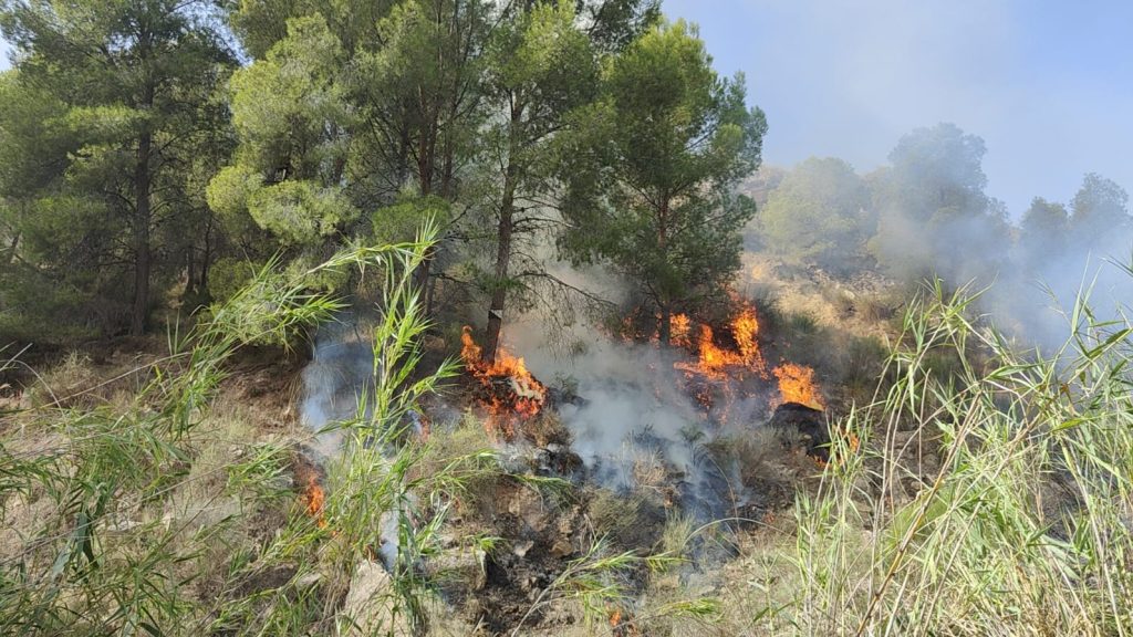 Arden 600 metros cuadrados de cañas y monte bajo en un  incendio declarado este mediodía en Abarán, frente a la Hoya de Don García