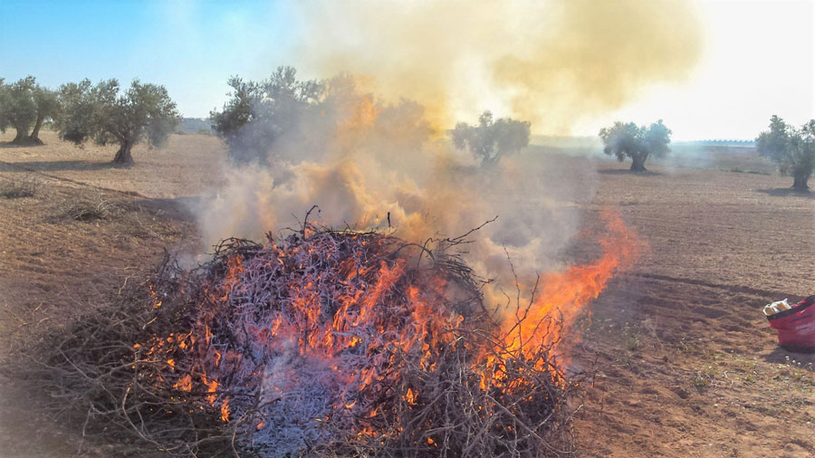 Nuevo procedimiento para autorizar quemas agrícolas